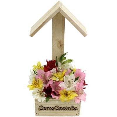 400_23488.jpg Um carinho colorido de altroemerias - Imagem 1