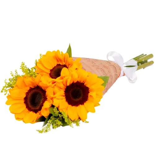 IMG_3416.webp Buquê de 3 girassol - Imagem 1