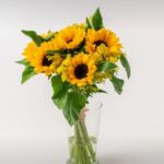 Girassóis em Vaso