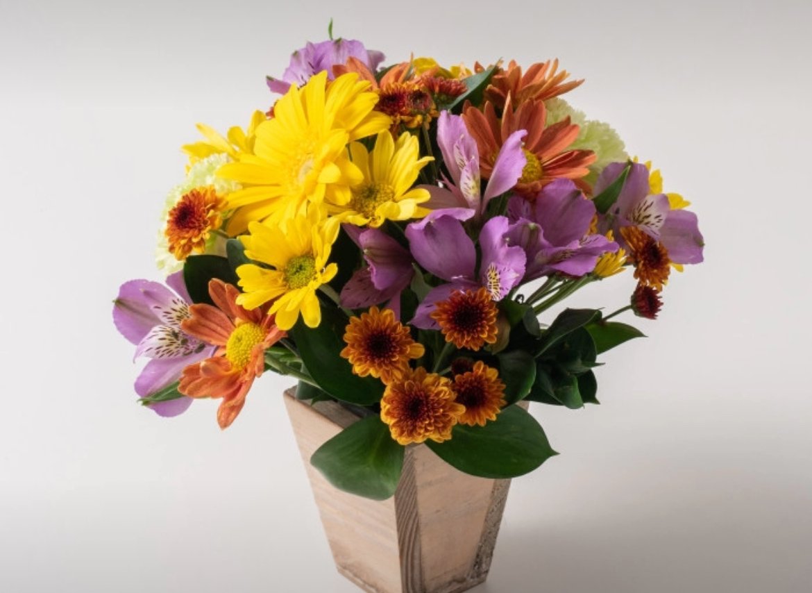 IMG_3634.jpeg Arranjo Pequeno de Flores do Campo - Imagem 1