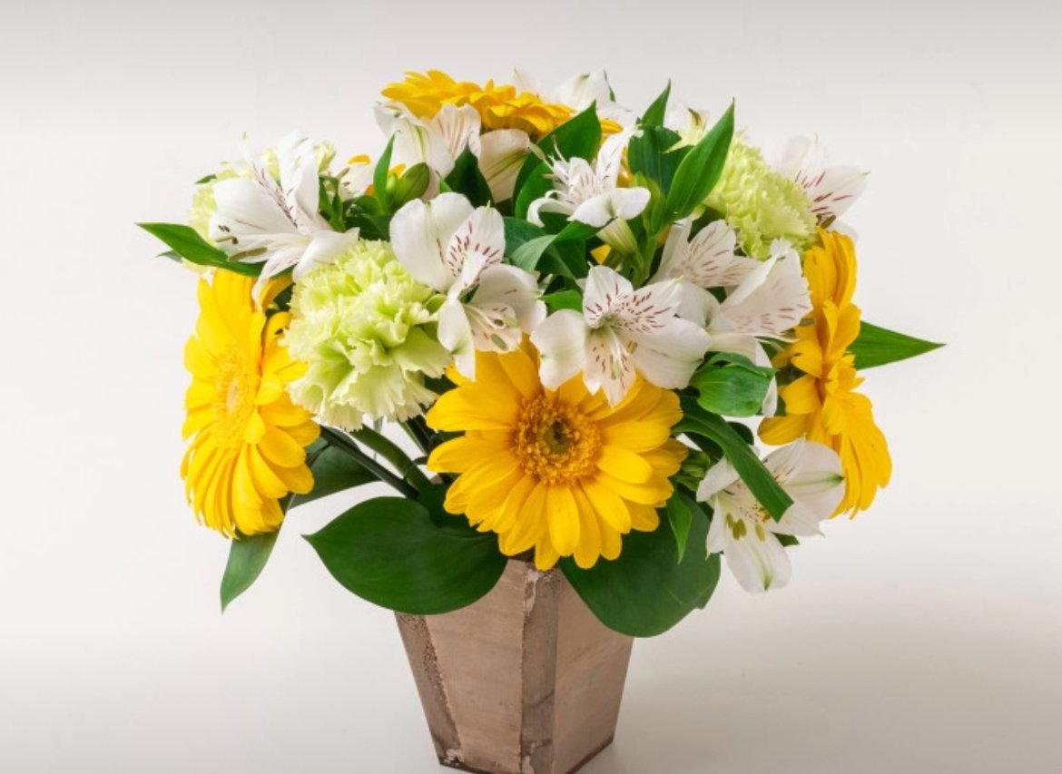 IMG_3636.jpeg Arranjo de Gérberas e Astromélias Amarelas e Brancas - Imagem 1
